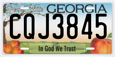 GA license plate CQJ3845