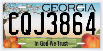 GA license plate CQJ3864
