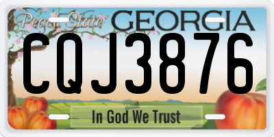 GA license plate CQJ3876