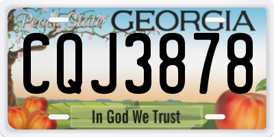GA license plate CQJ3878