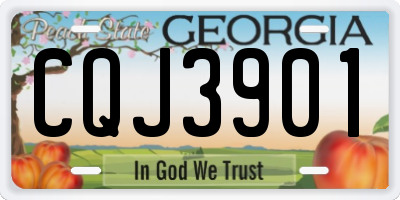 GA license plate CQJ3901