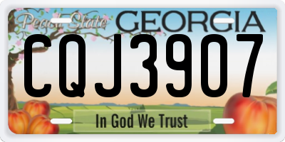 GA license plate CQJ3907