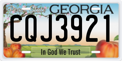 GA license plate CQJ3921