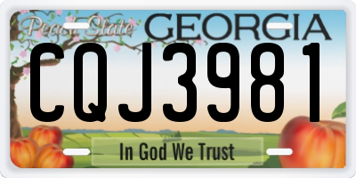 GA license plate CQJ3981