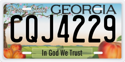 GA license plate CQJ4229