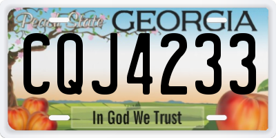 GA license plate CQJ4233