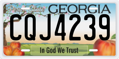 GA license plate CQJ4239