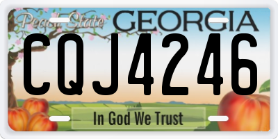 GA license plate CQJ4246