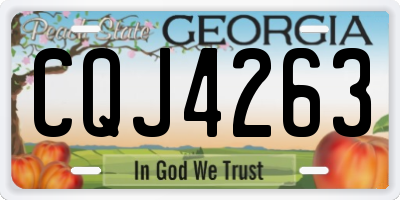 GA license plate CQJ4263