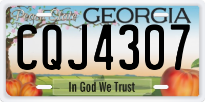 GA license plate CQJ4307