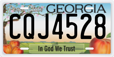 GA license plate CQJ4528