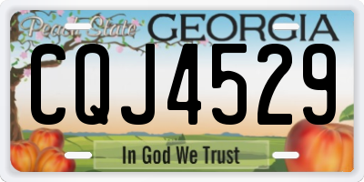 GA license plate CQJ4529