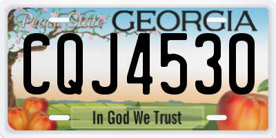 GA license plate CQJ4530