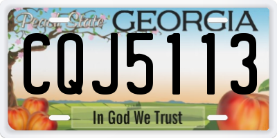 GA license plate CQJ5113