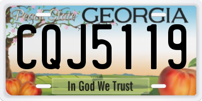 GA license plate CQJ5119