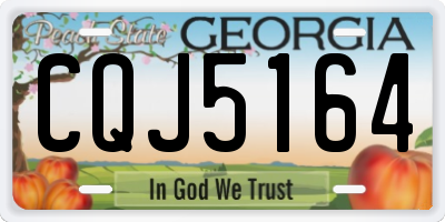 GA license plate CQJ5164