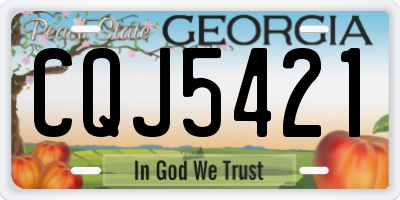 GA license plate CQJ5421