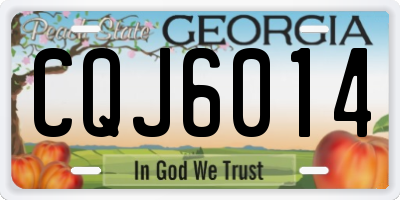 GA license plate CQJ6014