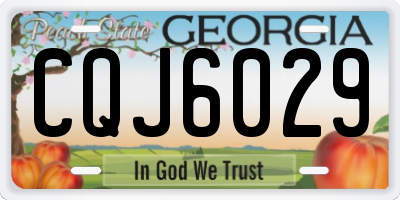 GA license plate CQJ6029
