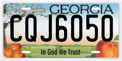 GA license plate CQJ6050