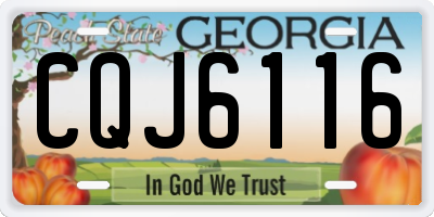 GA license plate CQJ6116