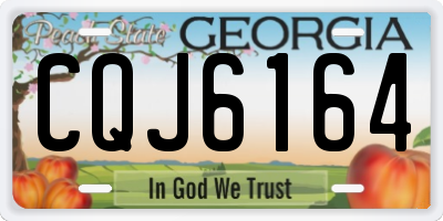 GA license plate CQJ6164
