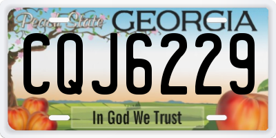 GA license plate CQJ6229