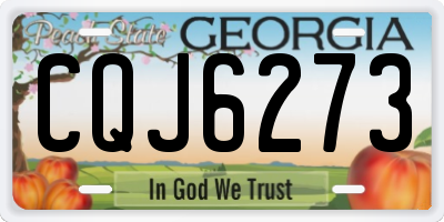 GA license plate CQJ6273