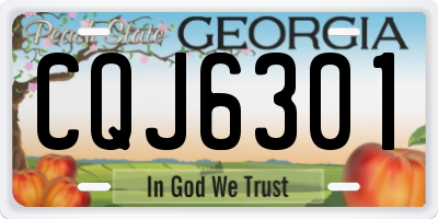 GA license plate CQJ6301