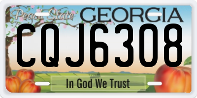 GA license plate CQJ6308