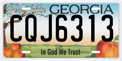 GA license plate CQJ6313