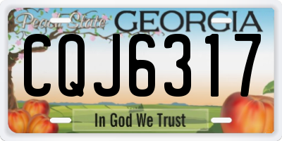 GA license plate CQJ6317