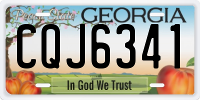 GA license plate CQJ6341