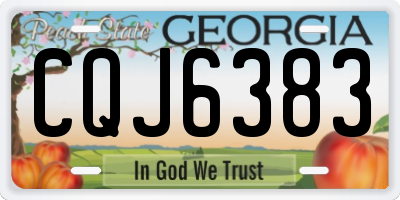 GA license plate CQJ6383