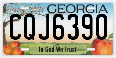 GA license plate CQJ6390