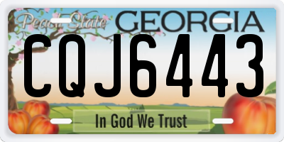 GA license plate CQJ6443
