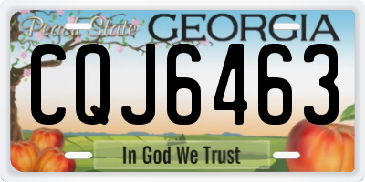 GA license plate CQJ6463
