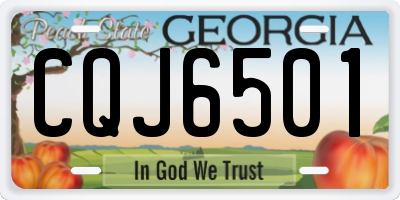 GA license plate CQJ6501