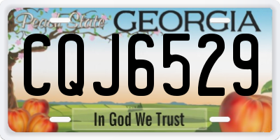 GA license plate CQJ6529
