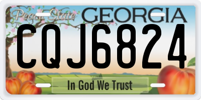 GA license plate CQJ6824