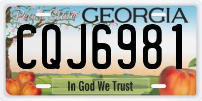 GA license plate CQJ6981