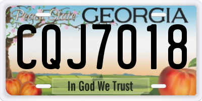 GA license plate CQJ7018