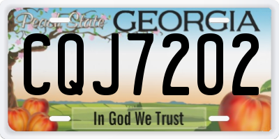 GA license plate CQJ7202