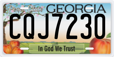 GA license plate CQJ7230
