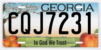 GA license plate CQJ7231