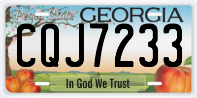 GA license plate CQJ7233