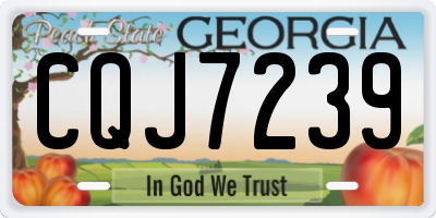 GA license plate CQJ7239