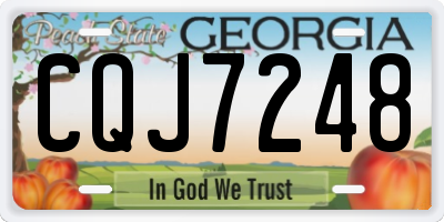 GA license plate CQJ7248