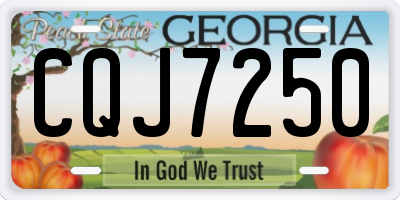 GA license plate CQJ7250