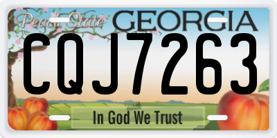 GA license plate CQJ7263